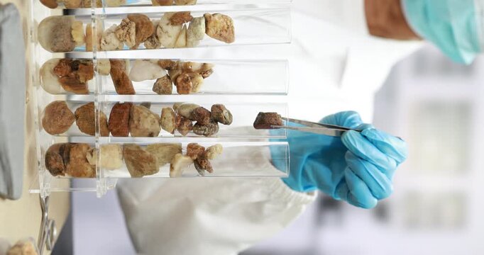 Scientist in blue gloves holds a rack of test tubes filled with rock and soil samples in a bright laboratory.