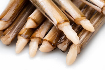 Edible raw razor clams isolated on white background. Delicacy food. © volff