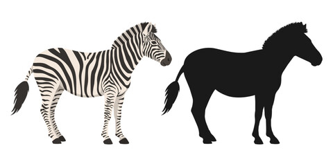 Obraz premium Cute cartoon zebra illustration set paired with an identical solid black silhouette. Isolated vector elements for design, stickers, and kids projects