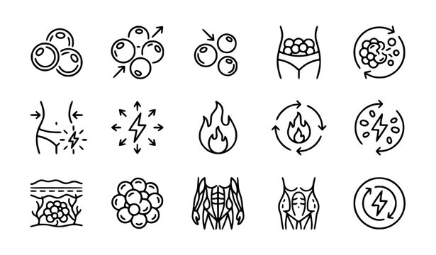 Set of line icons representing fat burning metabolism weight loss and body transformation processes for health and fitness