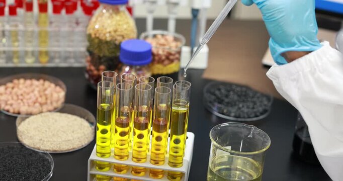 Researcher in protective gloves uses a pipette to add liquid to yellow samples in test tubes, with grains and laboratory containers arranged on a workbench.
