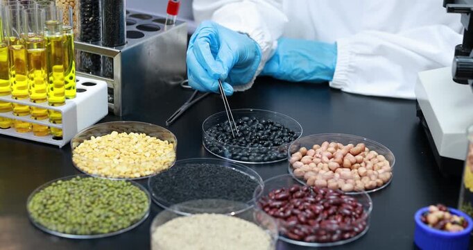 Scientist in blue gloves uses tweezers to examine grains, beans, and seeds beside test tubes and a microscope in a food research laboratory.