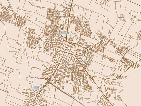 Urban grid map of Zamora, Mexico