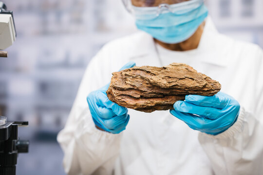 Masked laboratory scientist wearing blue gloves examines a layered brown rock specimen in a research lab.