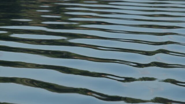 Wavy pattern on the water surface