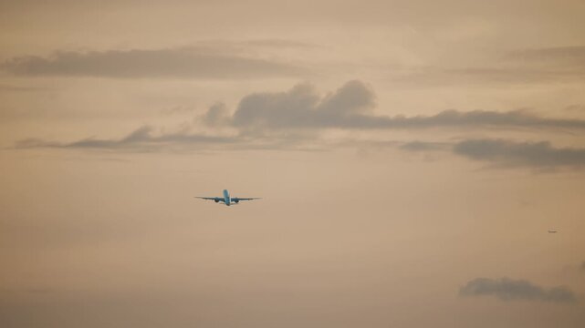 Passenger plane flying, sky fluffy white background. Airplane taking off and climbing into the beautiful sunset sky