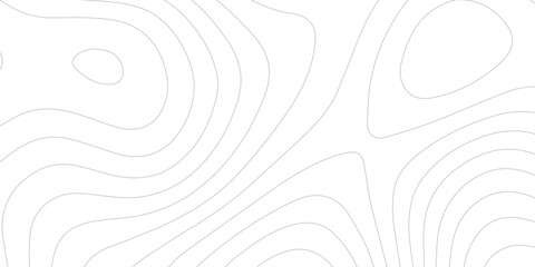 Abstract White Curved Wave Relief with Topographic Map Contours, Geographic Grid Lines and Modern Terrain Background Design © inaya