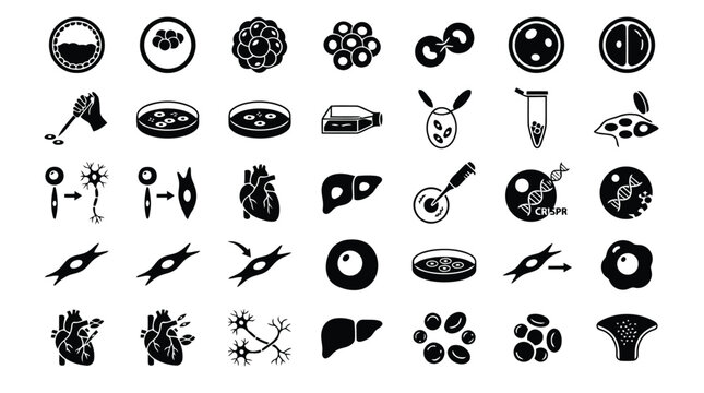Medical and biological vector icons set isolated on white background