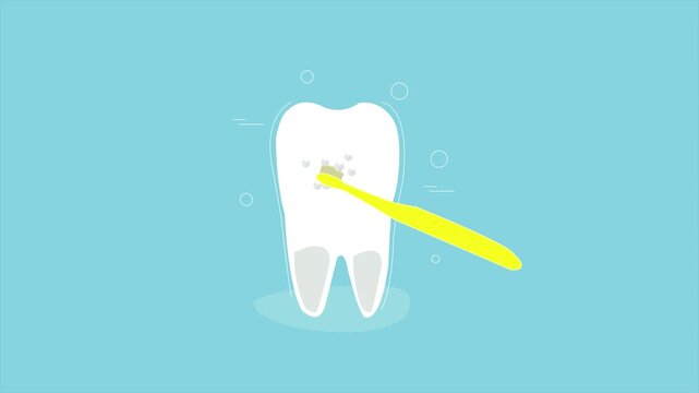 Healthy teeth for clean everyday your important part, teeth clean concept, animation 2d
