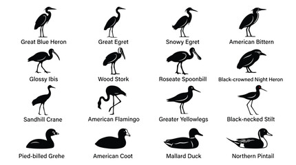 Fototapeta premium Set of sixteen water bird species silhouettes isolated on white background