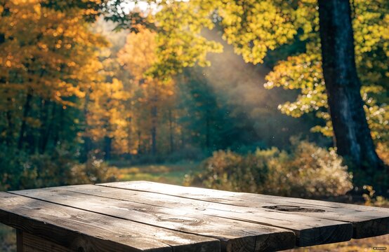 High-quality natural background image featuring an empty wooden tabletop in the foreground, complemented by a blurred autumn forest background. Specially designed for product placement and mockup crea