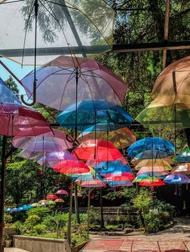 umbrella sky at tosenskyo in ibusuki, kagoshima, japan