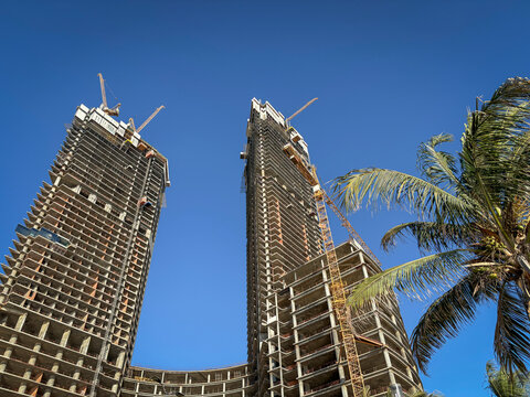 Two towers under construction rise above a palm tree in a low-angle view, Makkah, Jeddah, Saudi Arabia