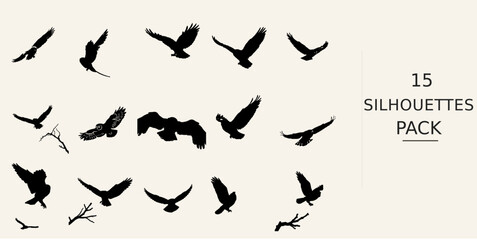 Fototapeta premium Owl Flying Silhouette - Delicate Form Monochrome Silhouette Black Vector Clipart on White Background