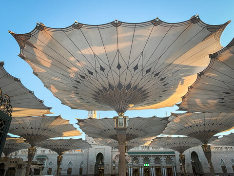 The petal-shaped undersides of umbrella canopies open above the courtyard of Al-Masjid an-Nabawi, Al Madinah Province, Madinah, Saudi Arabia