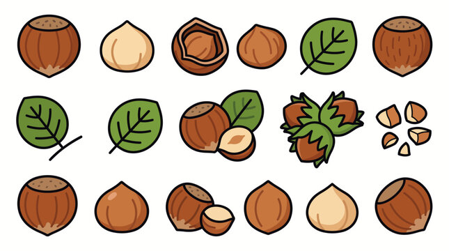 Set of cartoon hazelnut illustrations with whole nuts, shelled, halved, crushed, leaves and cluster isolated on white background