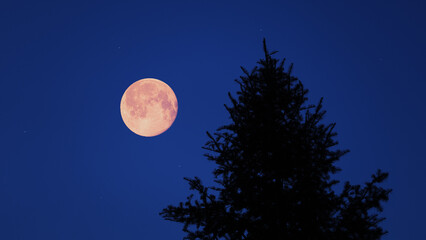 Full Moon, stars and planets above landscape silhouettes. © astrosystem