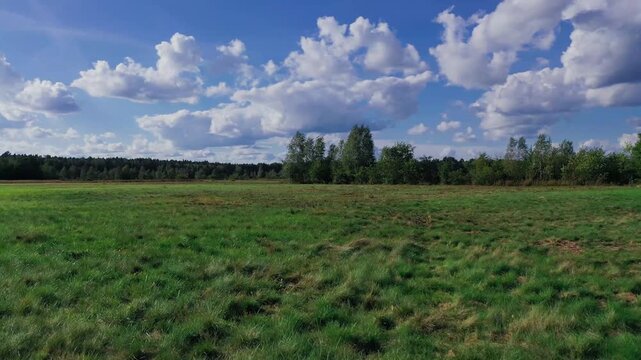 Wideo przedstawia łąkę widzianą z niskiej wysokości w trakcie przelotu drona.