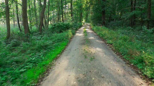 Wideo przedstawia widok leśnej drogi. Droga na nawierzchnię piaszczystą, na poboczach i między koleinami rośnie zielona trwa, Wideo zrobiono z nisko lecącego drona.