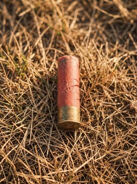 Weathered red shotgun shell lying on dry autumn grass