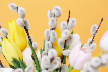 Yellow tulips and pussy willow background. Soft white catkins and spring flowers. Floral arrangement on orange backdrop. Easter seasonal flower decoration. Colorful bouquet and botanical detail. © Paweł Michałowski