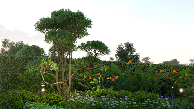 3D Rendering of a beautiful outdoor garden landscape featuring trees, tropical bird of paradise flowers, and evening decorative lighting.