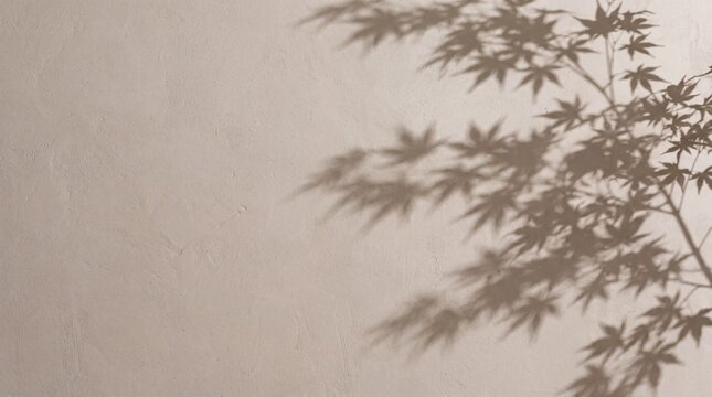 Japanese Maple Shadow on Warm Wall Texture Background