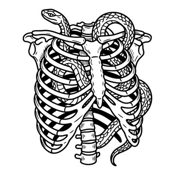 Snake Threading Through Human Rib Cage Vector Illustration