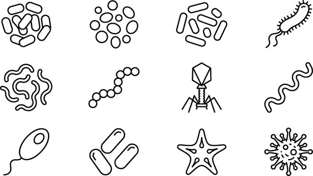 Microbiology outline icon set presenting bacteria types virus cells pathogen micro organisms bacteriophage and disease vector symbols