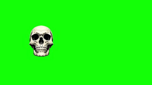 Halloween Skull Green Screen Floating Left Spooky Party Video Overlay
