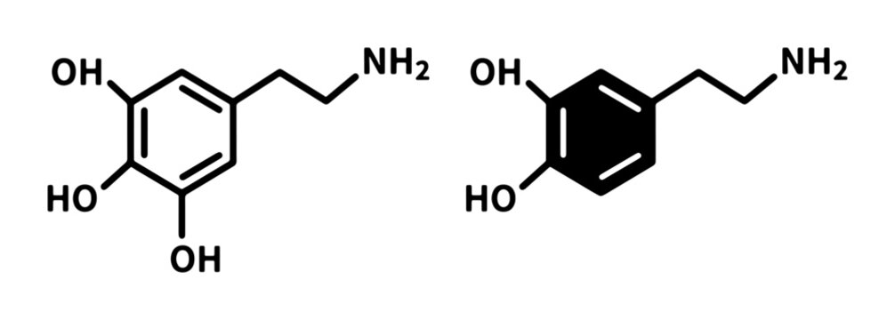 Dopamine Chemical Structure, Neurotransmitter Molecular Formula, Science and Health Vector Graphics