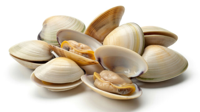Fresh raw clams with opened shells arranged on a white isolated studio background
