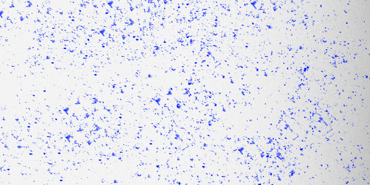 Blue stipple texture on white background, grainy ink splatter effect, minimalist speckled pattern for graphic design and artistic overlays