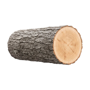Freshly cut tree log with visible growth rings sits on transparent background