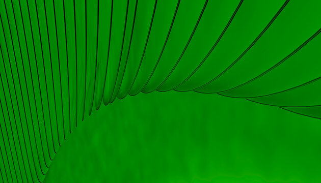 Close-up of green palm leaf with detailed texture and veins