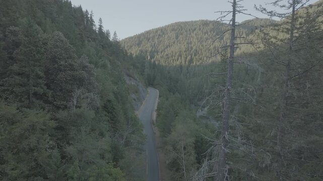Raw untrimmed aerial drone take over forest &mdash; take 1
