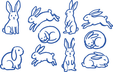 Blue line drawing  hand drawn doodle style depicts multiple rabbits in various poses on a white background © Mahmud