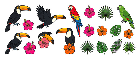 Obraz premium Tropical Birds and Flowers Isolated on Transparent Background