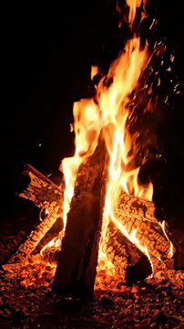Roaring Bonfire at Night: Crackling logs engulfed in vibrant orange flames create a mesmerizing bonfire against the dark night sky, evoking warmth and primal comfort.