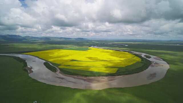 High-Angle Aerial Wide View of Meandering Baihe River and Golden Rapeseed Flower Field in Zoige Wetland: Winding River Bend, Lush Grassland, Blue Sky and Cloud Background