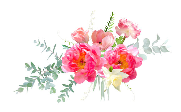 Bright pink peony, white daffodil, blush tulips, eucalyptus, greenery and branches floral vector bouquet.