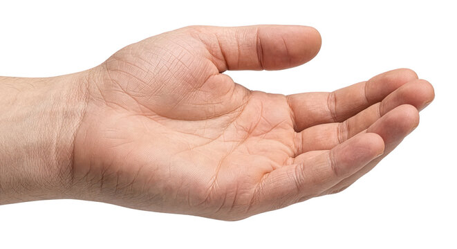 Open Human Palm Held Upward in a Receiving Gesture