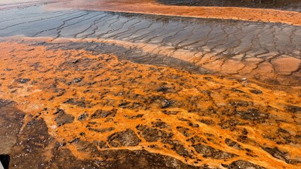 Yellowstone © Monika Cheang