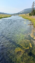 Yellowstone © Monika Cheang