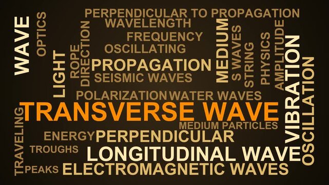 Transverse Wave Word Cloud