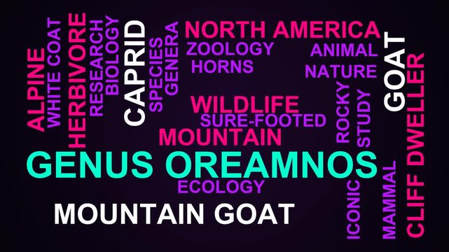 Genus Oreamnos Word Cloud