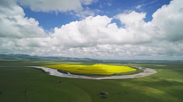 High-Angle Aerial Wide View of Meandering Baihe River and Golden Rapeseed Flower Field in Zoige Wetland: Winding River Bend, Lush Grassland, Blue Sky and Cloud Background