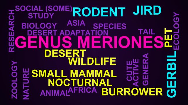 Genus Meriones Word Cloud