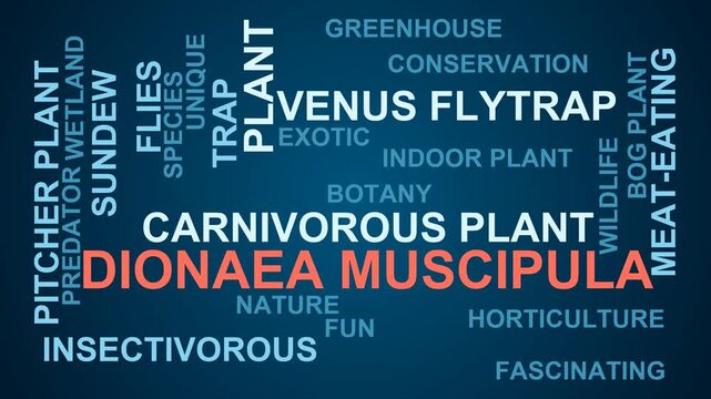 Dionaea Muscipula Word Cloud