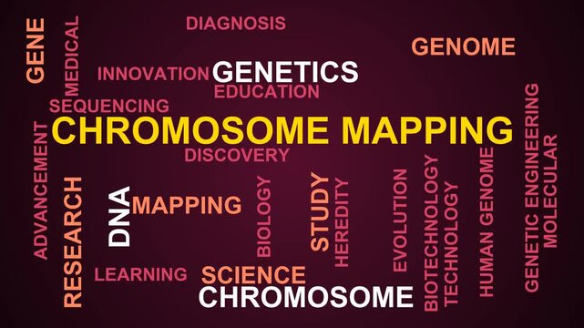 Chromosome Mapping Word Cloud